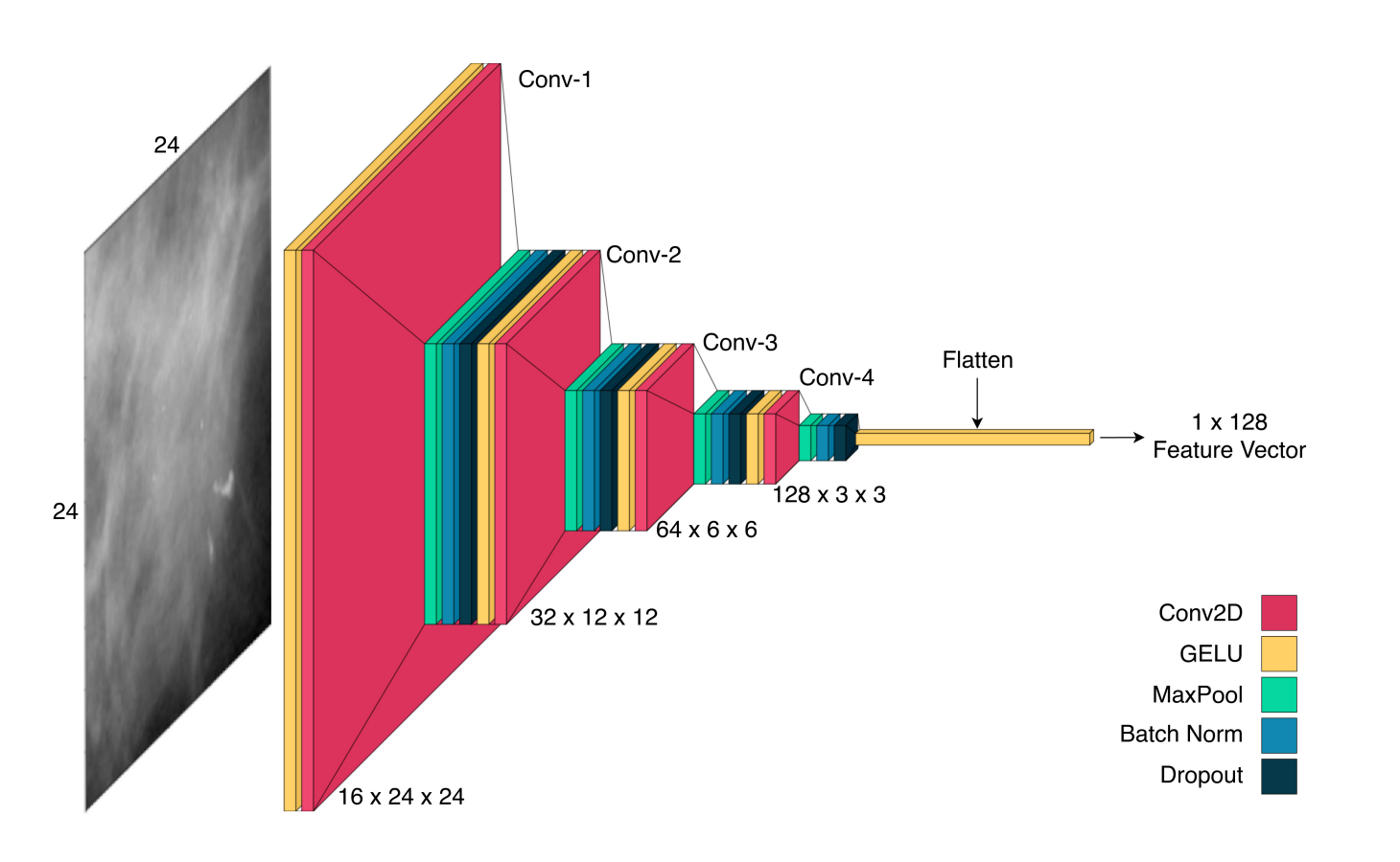 Using Cooperative Multi-Agent Reinforcement Learning for Mammogram ROI Classification